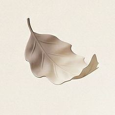 Gemini_Generated_Image_6cuk5t6cuk5t6cuk (1).png