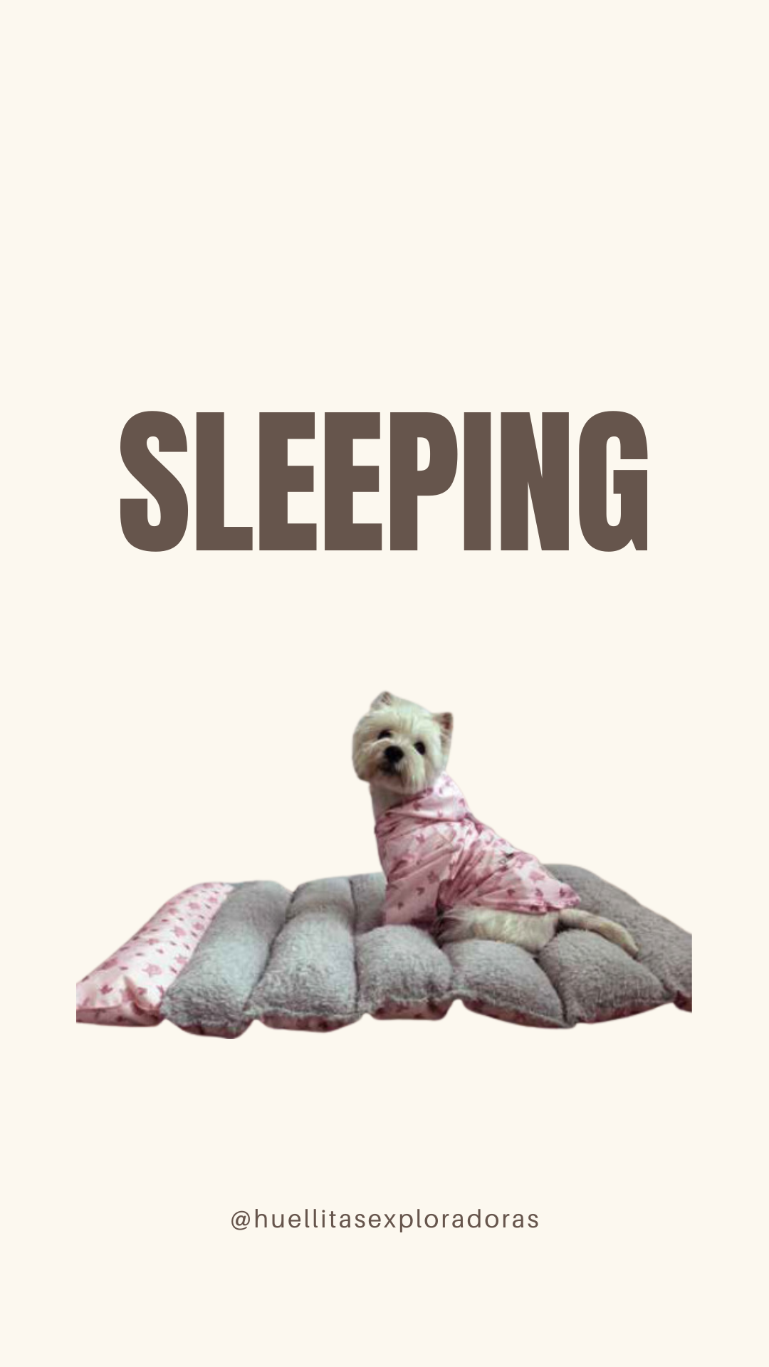 Sleeping