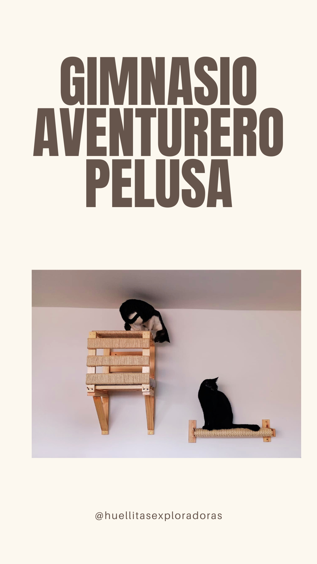 Gimnasio Aventurero