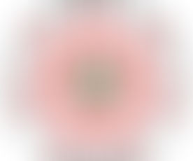 新型コロナウイルス禍の中、SDGsをどう達成するのか:第9回DPI障害者政策討論集会障害女性&国際協力分科会