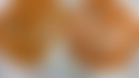 ハイレベル政治フォーラム(HLPF)に向けた市民社会レポート発表