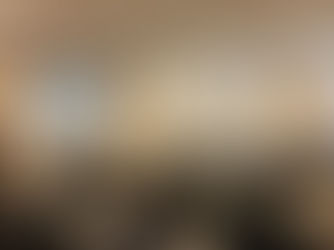 6/8 自民党SDGs外交議連の会合に参加