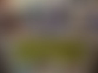 Visit to Sir Edmund Hilary library at Papakura