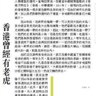 大公報