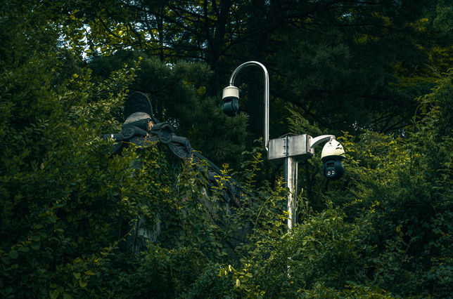 The World Through My Eyes