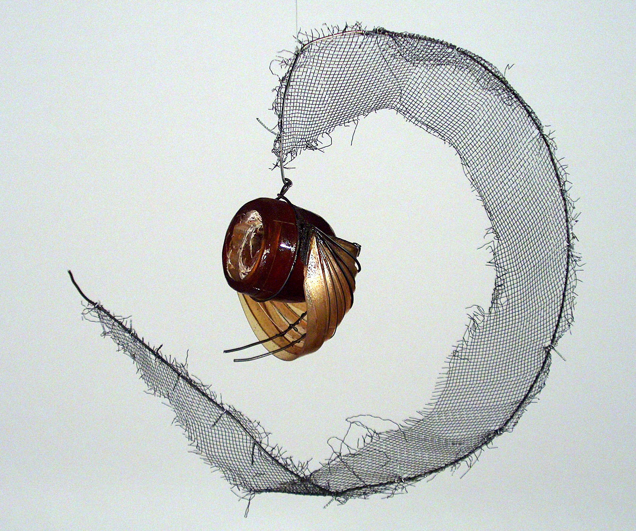 Bee's Eye