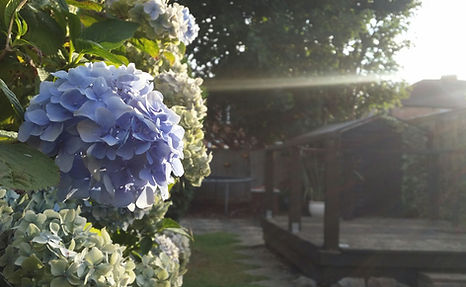20200802_194204.jpg