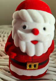 IMG-20201211-WA0009.jpg