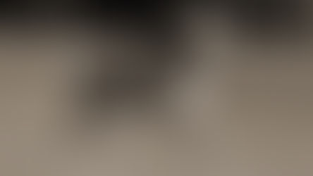 What Makes a Premises Liability Case Viable in Illinois?