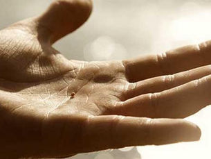 The Power of Faith in Small Battles