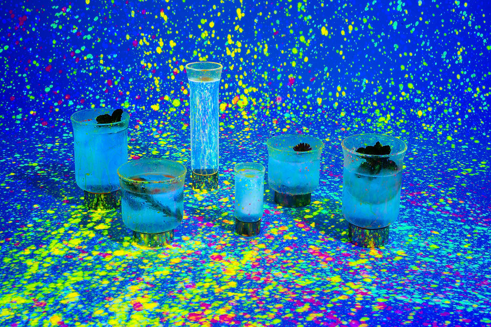 Thumbnail: Old Fashioned Glass | Ninfa