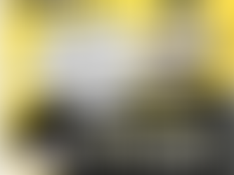  Hit or Error ? Baseball Digest's 1965 Rookie Edition Reexamined