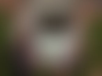 His Father was A Mudder : Baseball's Dirty Little Secret