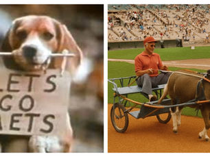 Sunday School: Forgotten Faces of Flushing #41 : The Beagle and the Mule That Time Forgot: Mets Mascot Madness