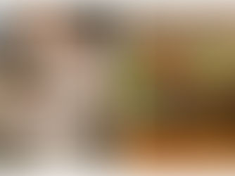 Sunday School: Forgotten Faces of Flushing #41 : The Beagle and the Mule That Time Forgot: Mets Mascot Madness