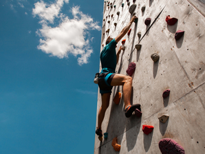 Updated collaboration standard: Discover your growth opportunities with subnetworks!
