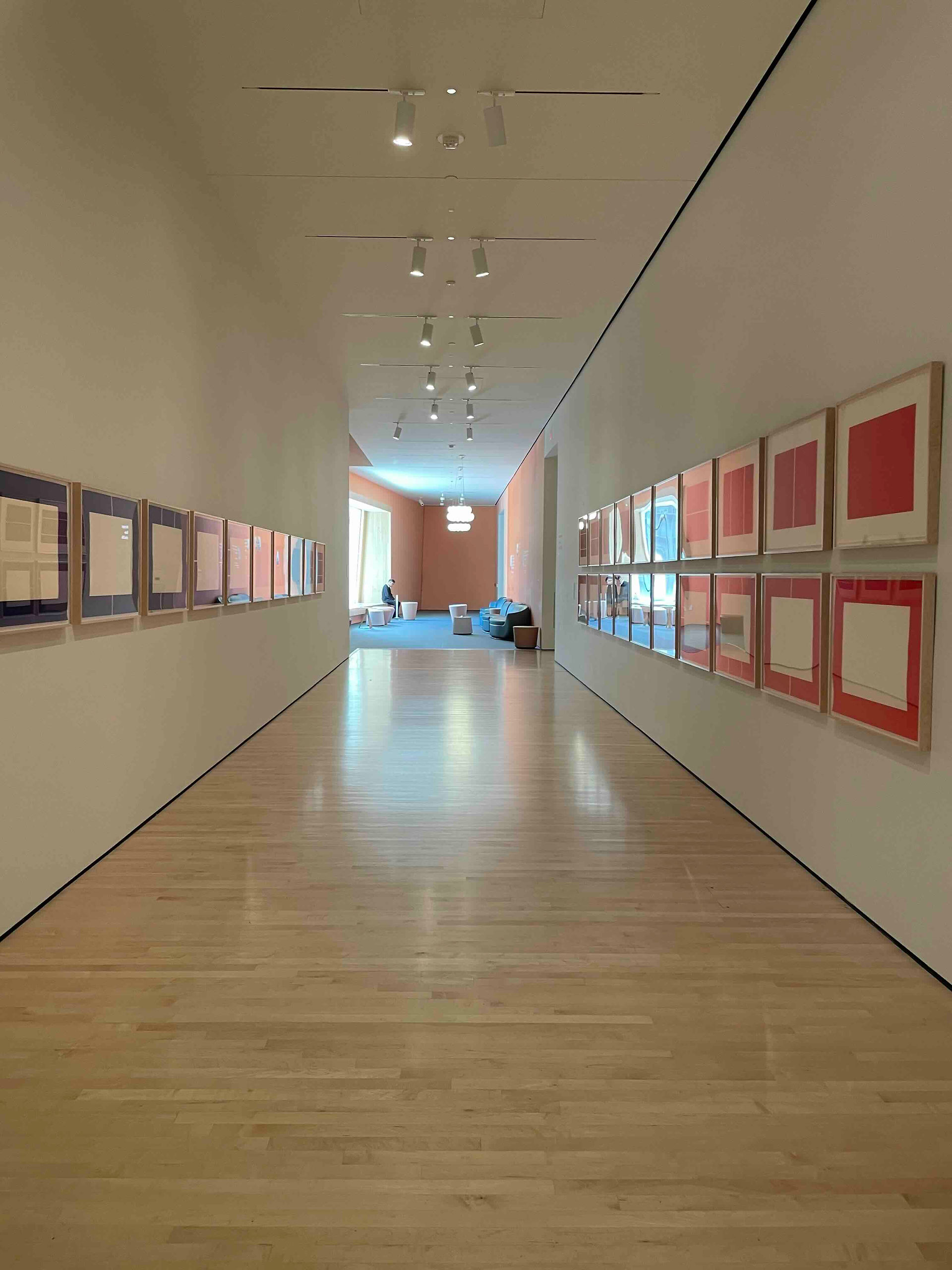 美術鑑賞（MOMA）