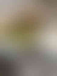 美味しいパン屋さんをみつける