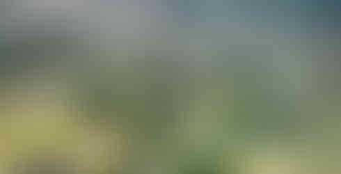 自転車がいつも映っているわけじゃない！