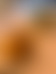 憧れのレストランChez Panisse での食事