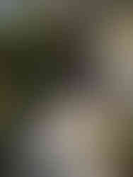 近所の散歩、ロングウォーク（よく歩きました！）