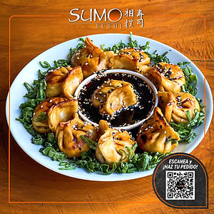 Gyozas Mixtas