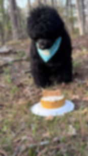 Kitchen Crafted Pet Cookies