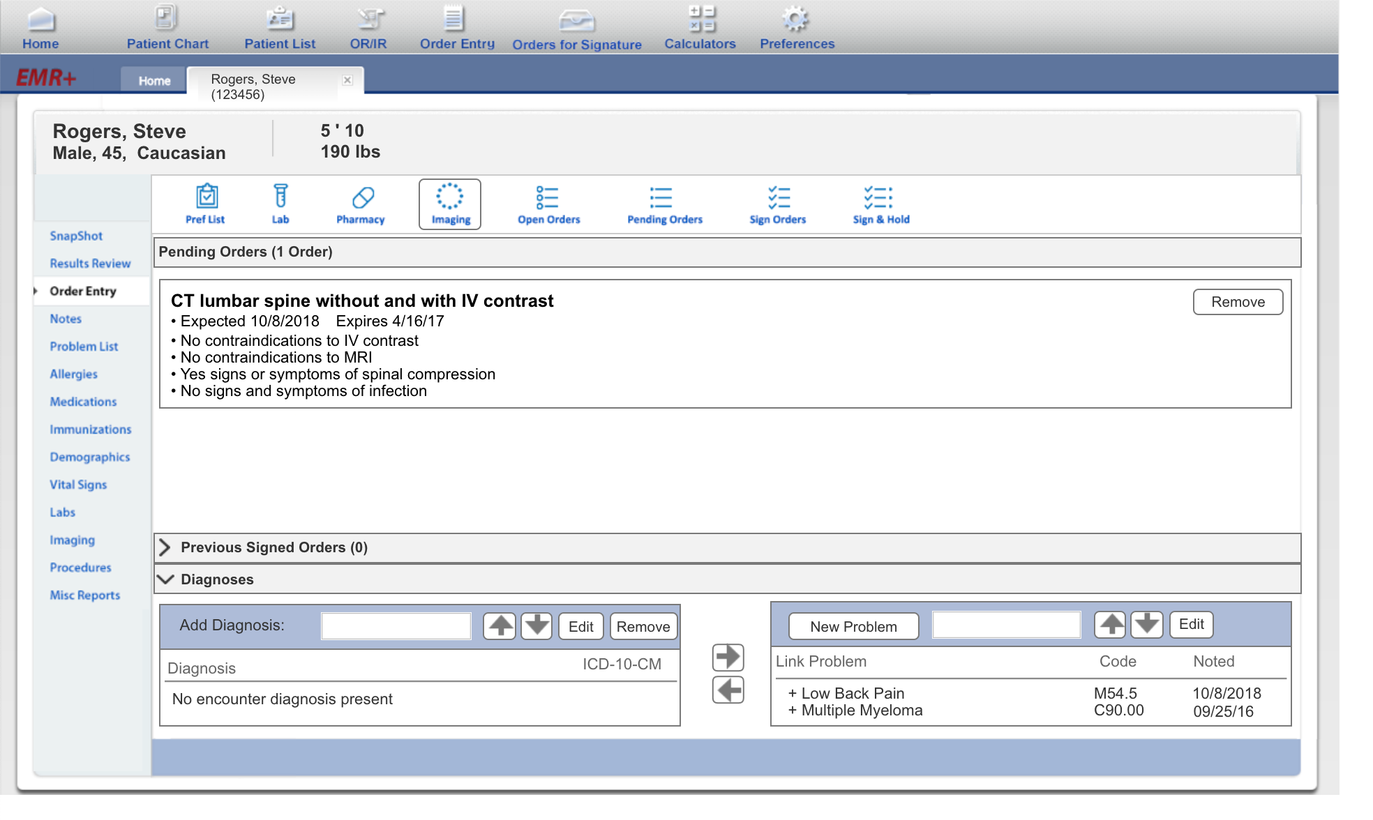 EMR order entry screen from the prototype