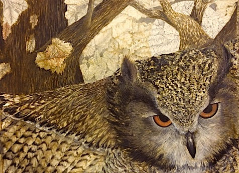 Autumn Owl