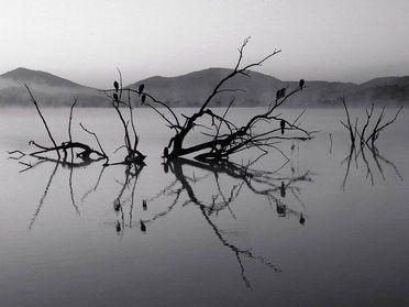 Pourquoi la conscience de la respiration est le premier pas vers l'équilibre ?