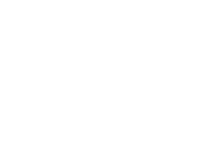 logo-w.webp