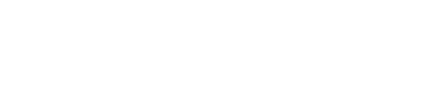 logo-w.png