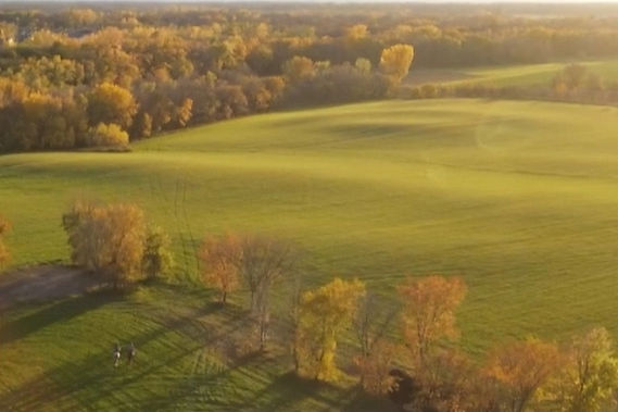 Screenshot (2)_edited_edited_edited.jpg