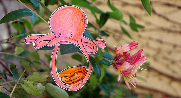 pieuvre-crabe.jpg