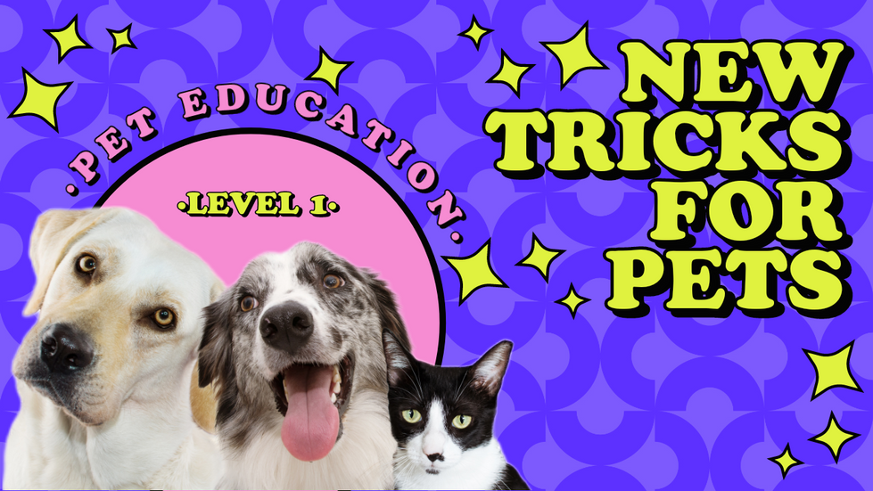 Adobe_Express_20240731_1724370_1