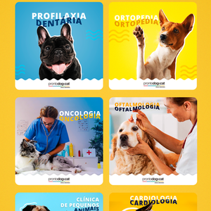 Social Media - Clínica Veterinária