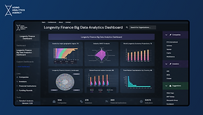 longevity Finance Big Data Analytics (2).png