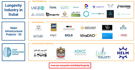 Rectangle_Mind_map_Infrastructure_Projects_-_Longevity_in_Dubai-1.png