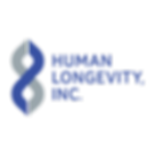pasted image 0 (1).png
