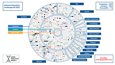 Static MindMap. Advanced Cosmetics Landscape Overview_Q3 2022 (1).png