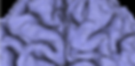 0 (4).png