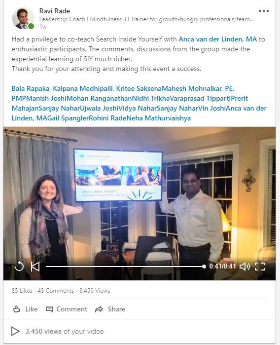 Ravi Rade Anca van der Leaden Leadership Retreat Search Inside Yourself Testimonial