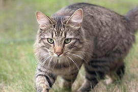 A2AB4CF6-C845-4F5C-AAB6-E953CF63E755.jpg