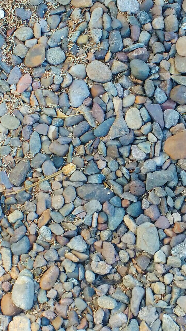 Stone Texture