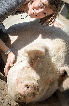 Ich mit einem ausgewachsenen Schwein