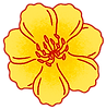 AB_PlumBlossom.png