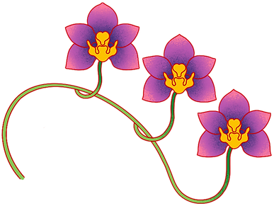 AB_Orchids_edited.png