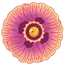 AB_Poppy_edited.png
