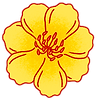 AB_PlumBlossom_edited.png