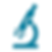 download (1).png